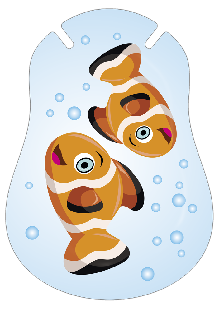 300261, Anemonenfisch